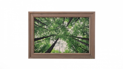 Print on framed Ash wood: Trees, All of Ash wood, Home decor